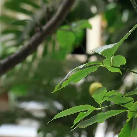 Casa Barbero Charme &