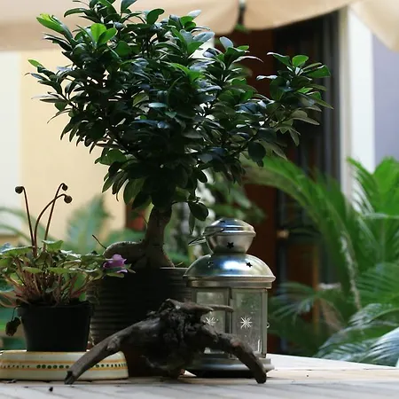 Casa Barbero Charme Oda ve Kahvaltı 3*